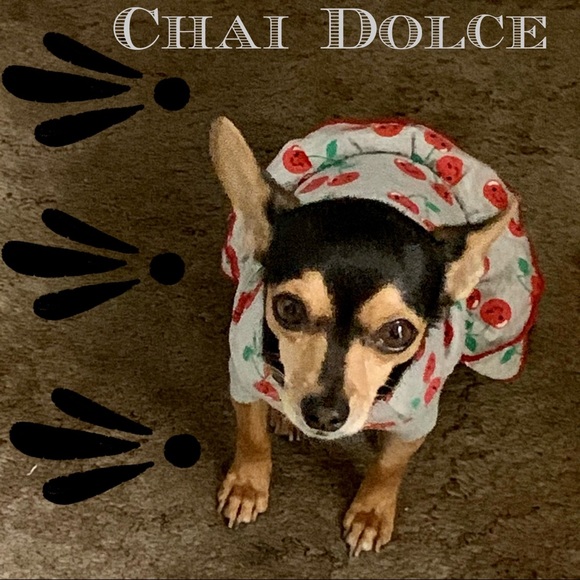 #Dog Mama Patch Baseball Cap - Picture 9 of 9